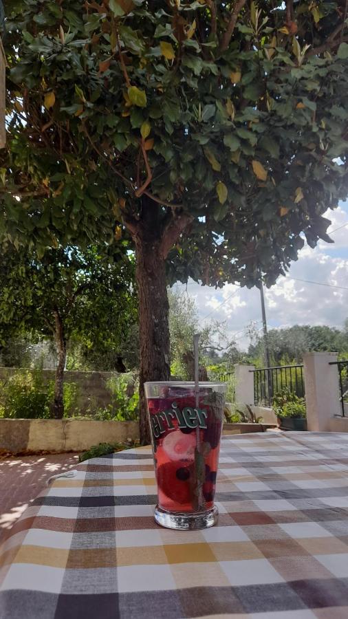 Casa Da Magnolia Dom wakacyjny *